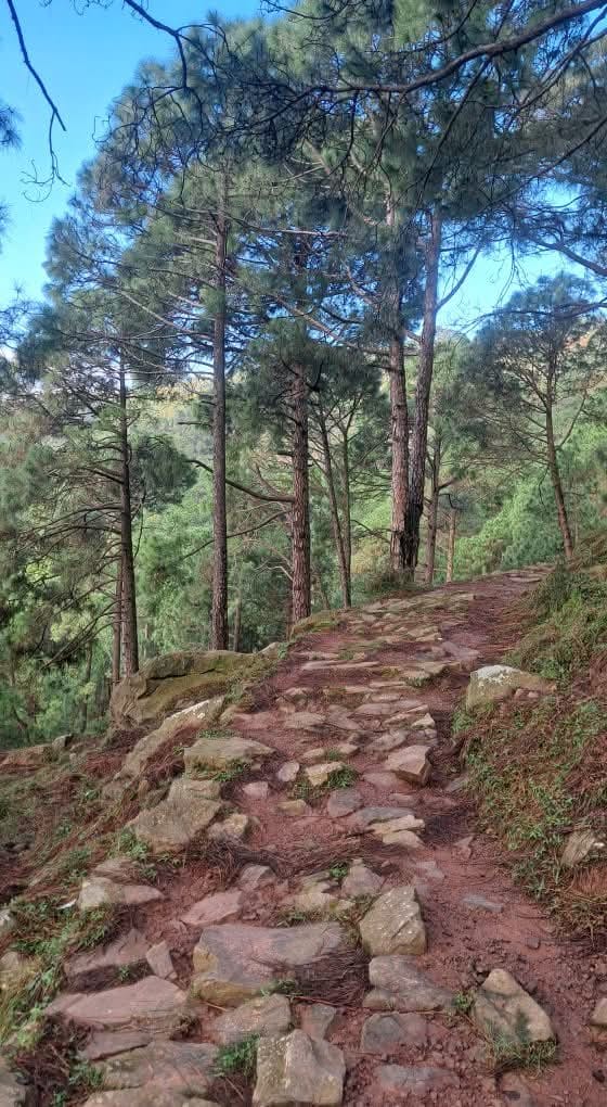 हौटार पंचायत के वार्ड नंबर 2 को जोड़ने वाला कच्चा रास्ता। स्रोत जागरूक पाठक।