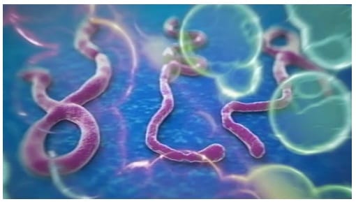 Health department on Ebola alert, isolation ward ready at Lokbandhu Hospital