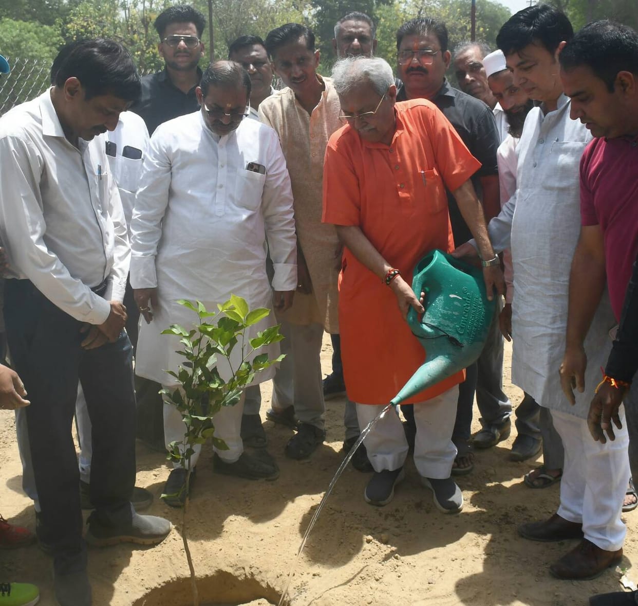 BJP public representatives planted trees on Mall Road.