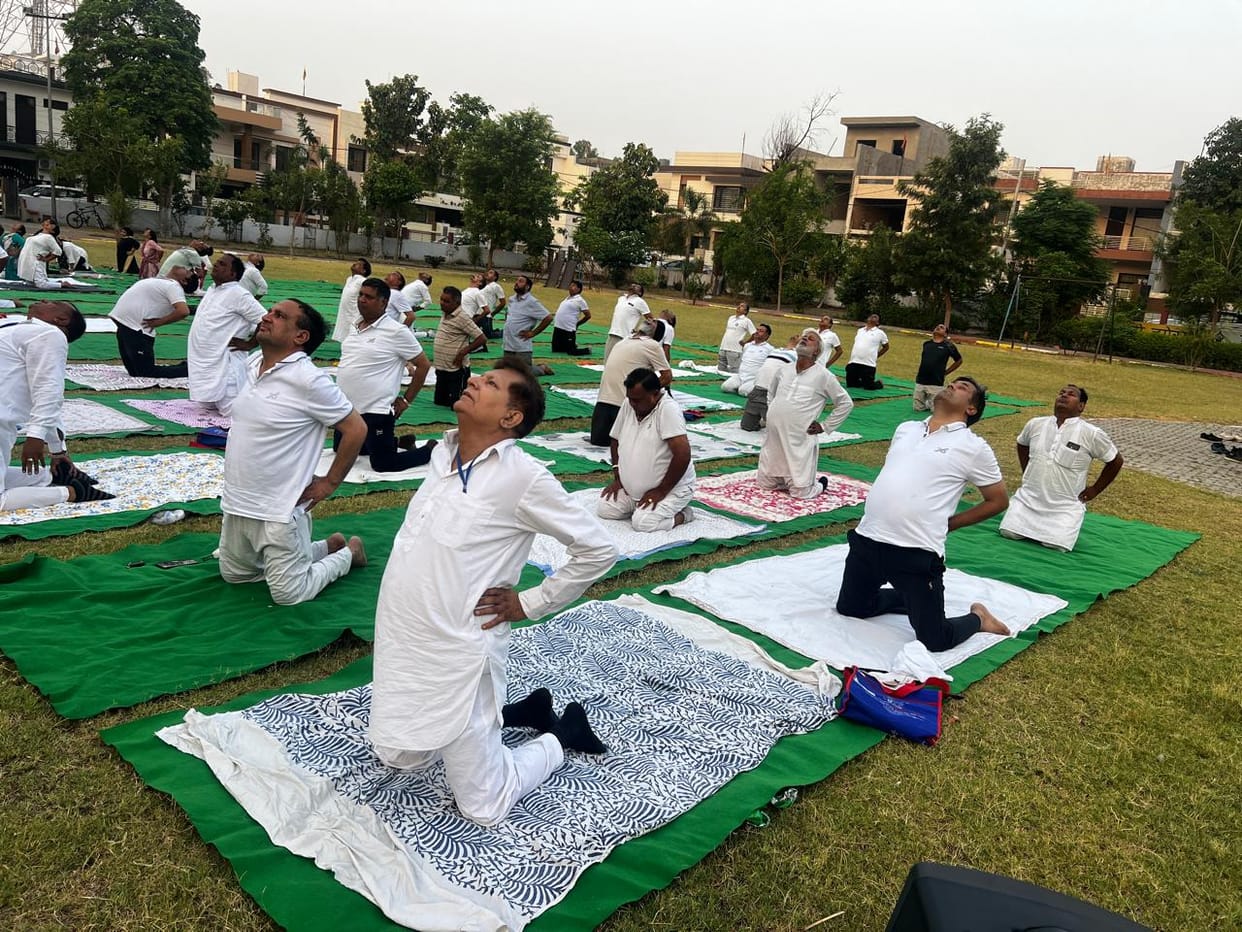 The seekers practiced yoga in the camp