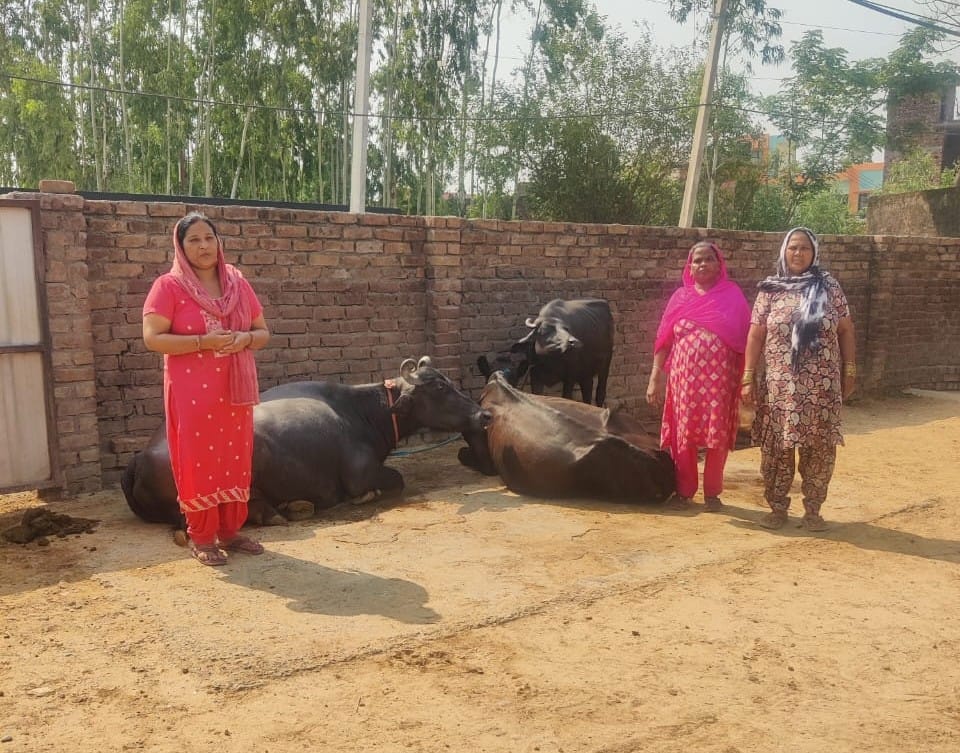 Women strengthening their economic status through self-employment