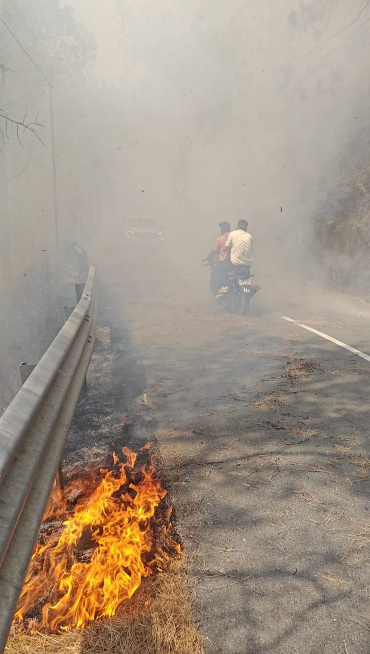Highway lost in forest fire smoke, entire forest area reduced to ashes in two hours