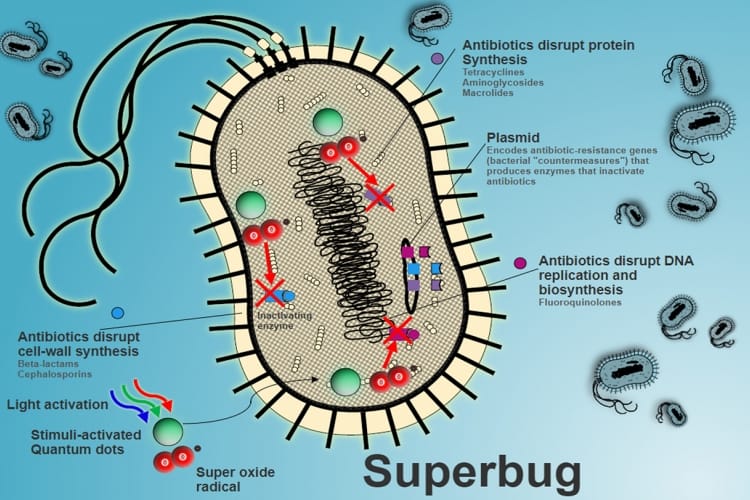 Soil microorganism found cure for deadly superbug