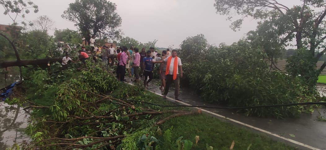 A tree fell on the main road due to the storm and rain, traffic was halted for hours.