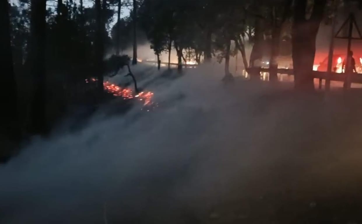 Fire breaks out in Ghingharikhal forest; fire brigade brings it under control.