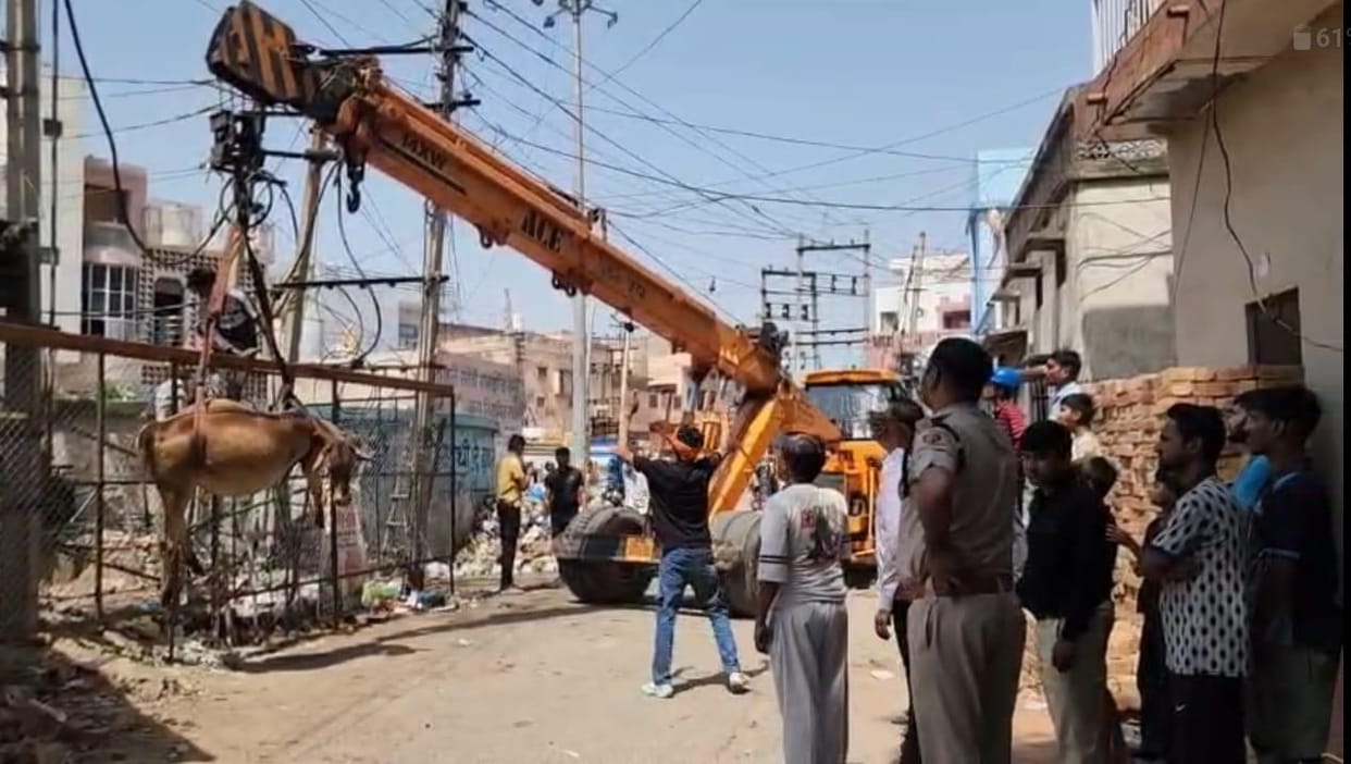 Cow protection group creates ruckus over death of cow due to electrocution...sloganeering outside chairperson's house