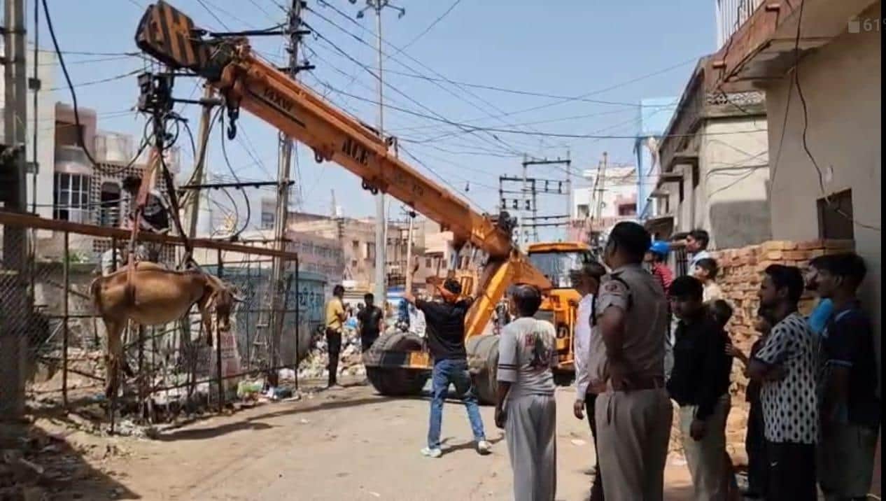क्रेन के माध्यम से गाय को बाहर निकालते। संवाद