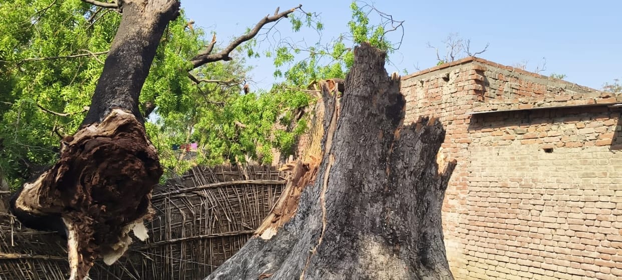 Six injured as trees fall in storm, power supply disrupted