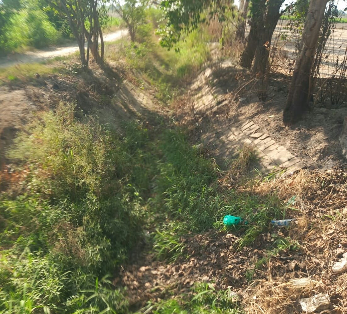 Water hasn't reached the tail end of Chamrada Minor for a year, and farmers from three villages have expressed their anger.