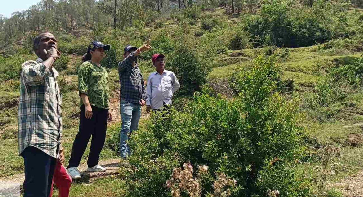 Panic among residents after leopard sighting in Sarp village.