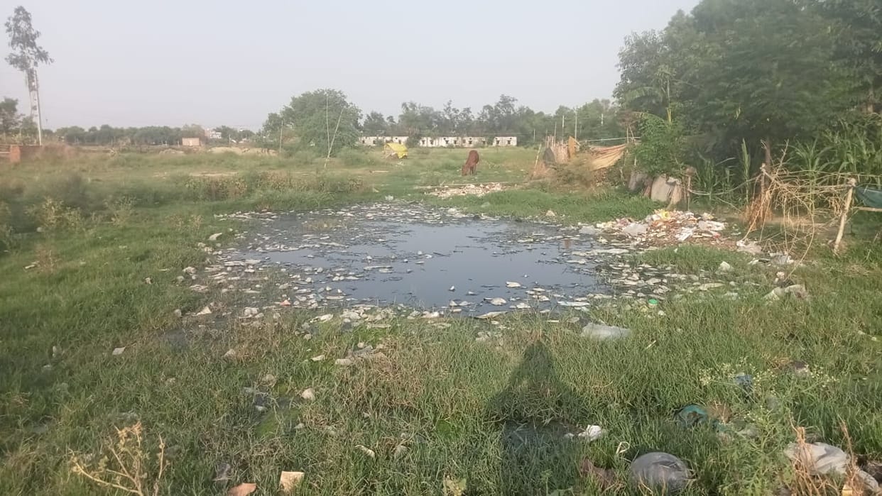 Elderly man dies after falling headfirst into a pit dug for a park; his elder brother loses his life from the shock.