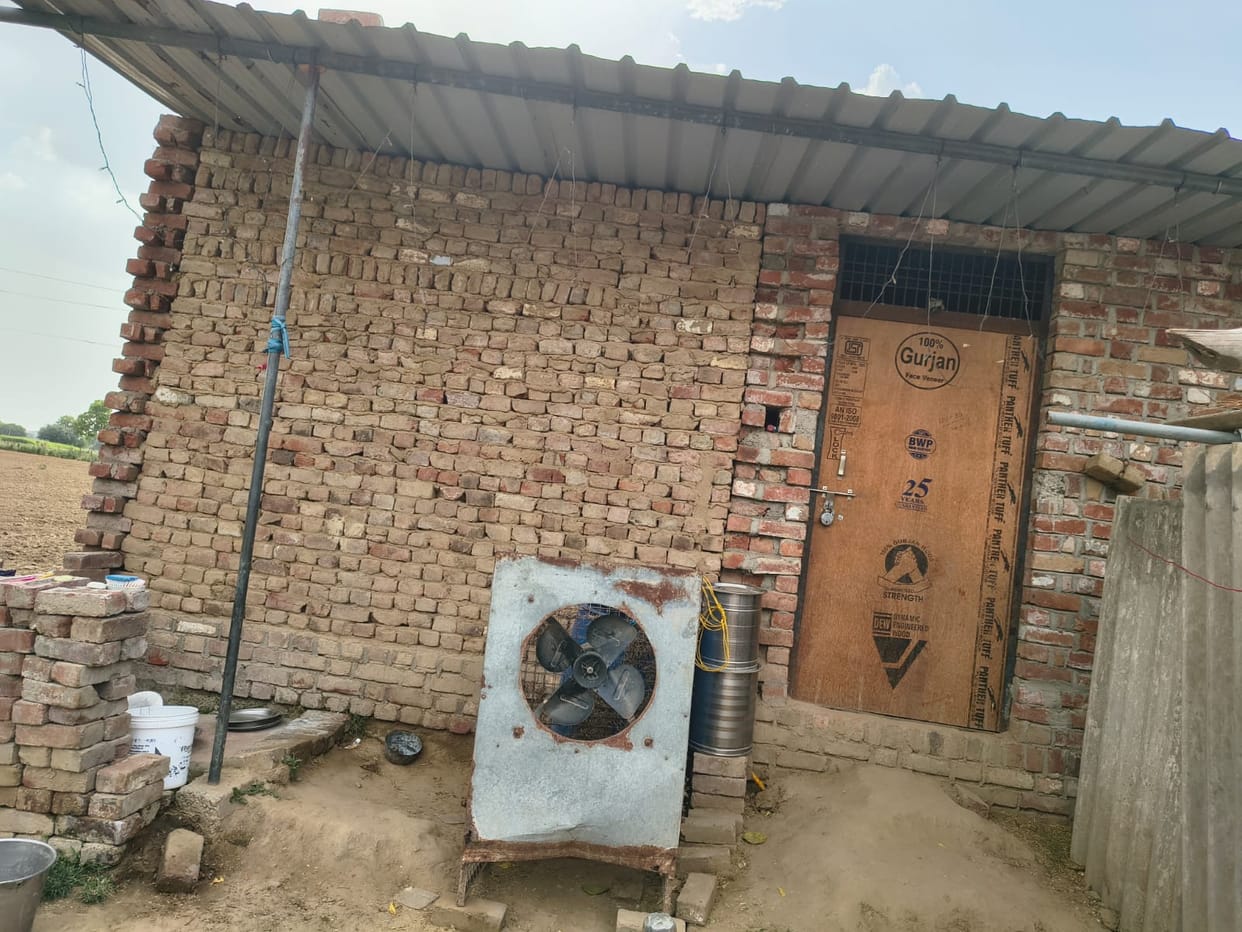 A woman died after being electrocuted in a tin shed pipe; a young neighbor who rushed to her rescue also died.