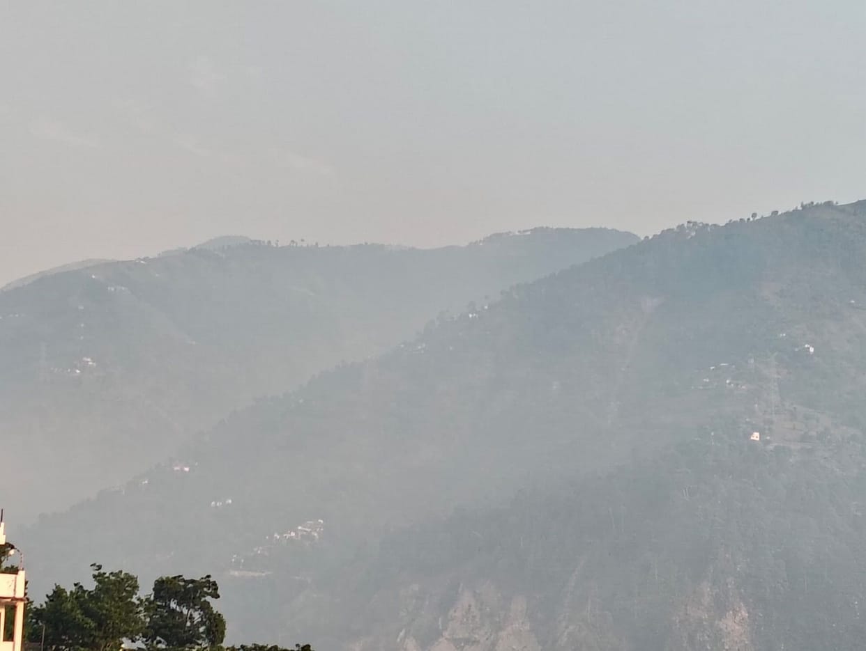 Flames from the fire raging in the Manghani forest reached the houses.