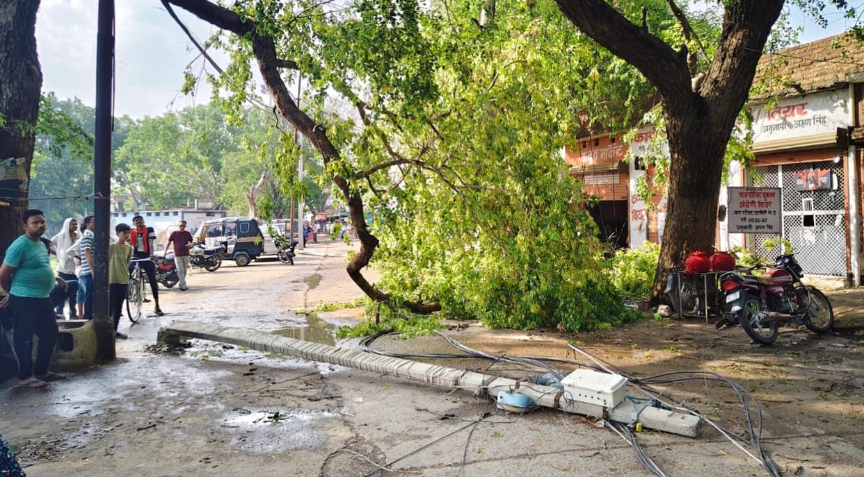 Trees, poles and transformers fell at many places due to the storm.