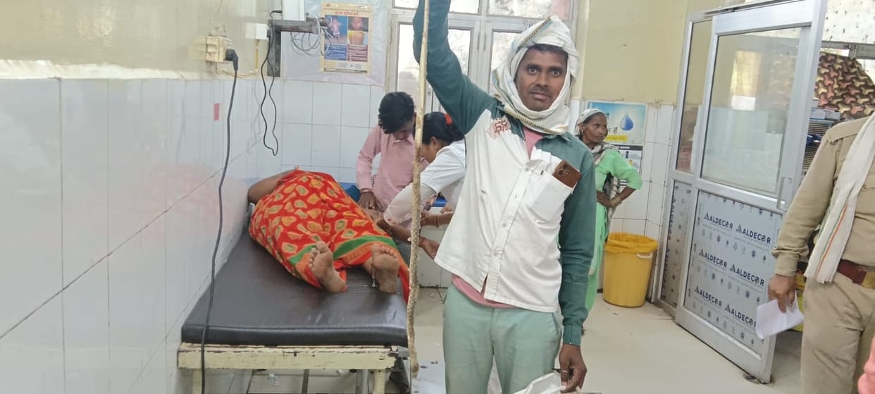 Attendant arrives at emergency with a snake along with the patient.