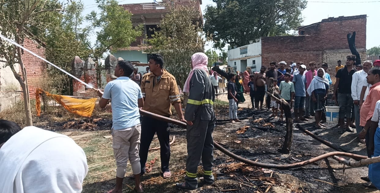 A short circuit caused a fire in the shed, killing two cattle