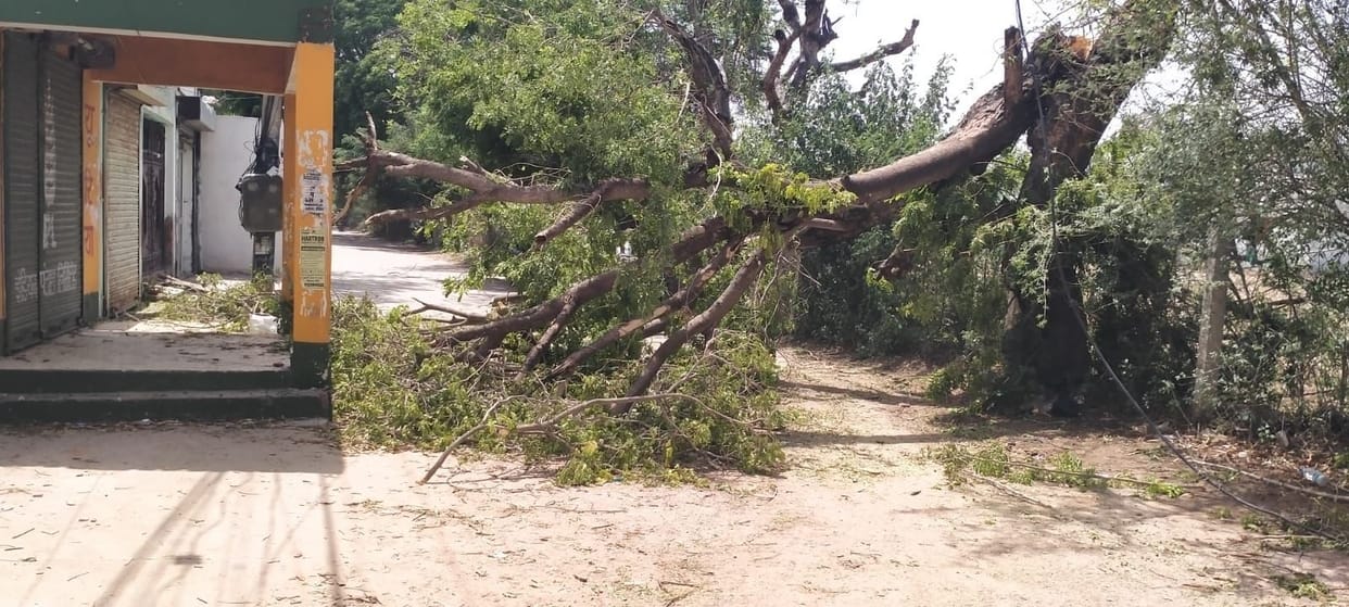 poles toppled and transformers damaged by storms in four days complaints received