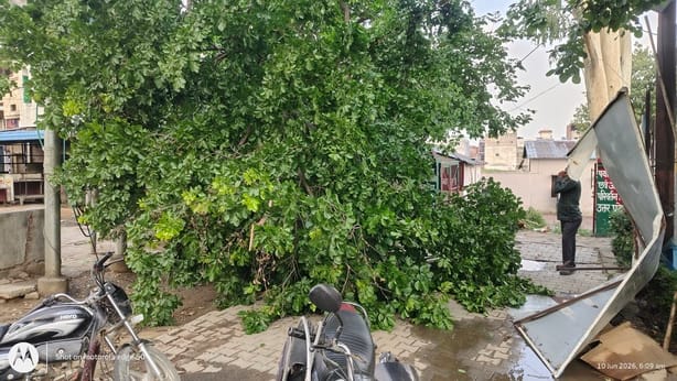 Hailstorm accompanied by strong winds and rain; trees and hoardings toppled.