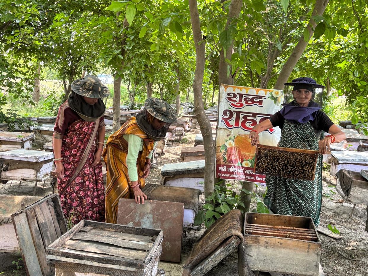 By making honey, the sweetness of progress was mixed in life