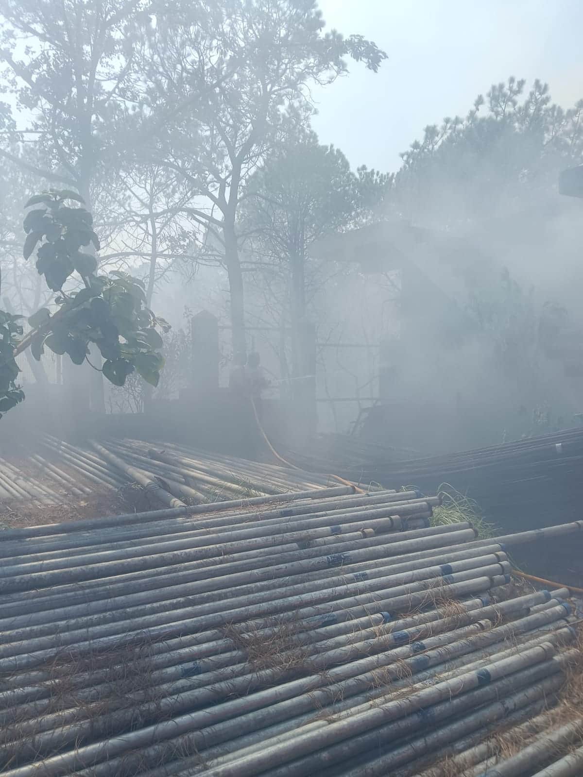 Forests burned at eight places, forest wealth worth lakhs reduced to ashes