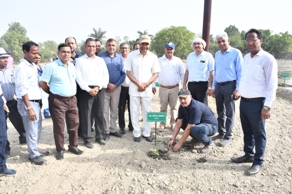 Took a pledge for conservation by planting saplings.