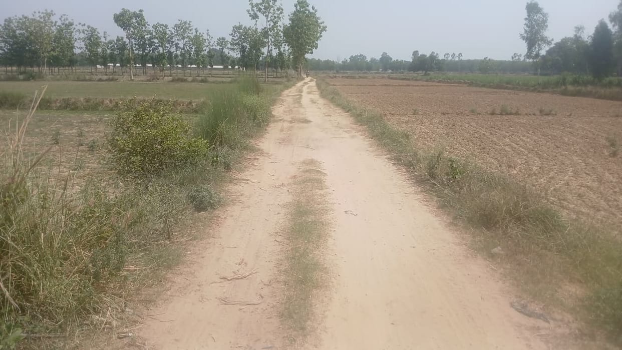 12 roads will be built in six blocks at a cost of Rs 8.28 crore in Basti, speeding up travel.