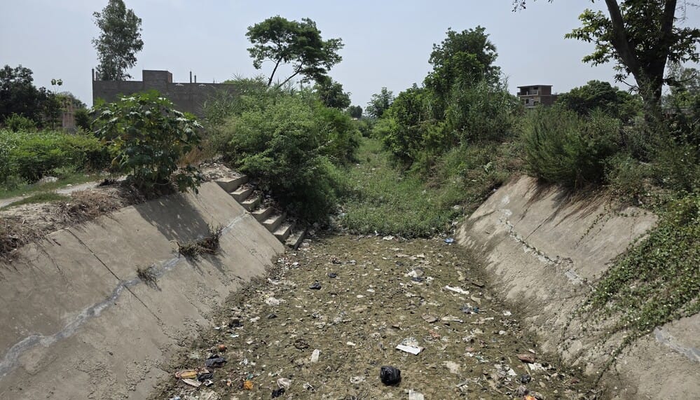 1. Target of transplantation in 6.7 million hectares, there is no water in the canals to put nurseries