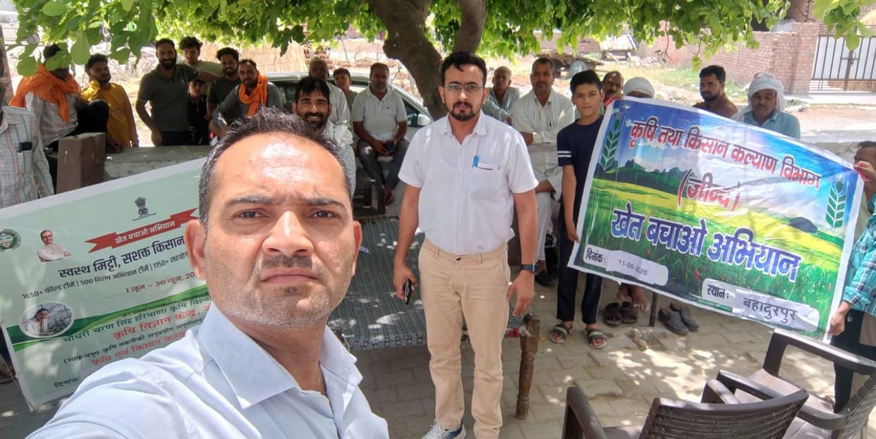 Emphasis on saving soil fertility through green manure and bio-fertilizers