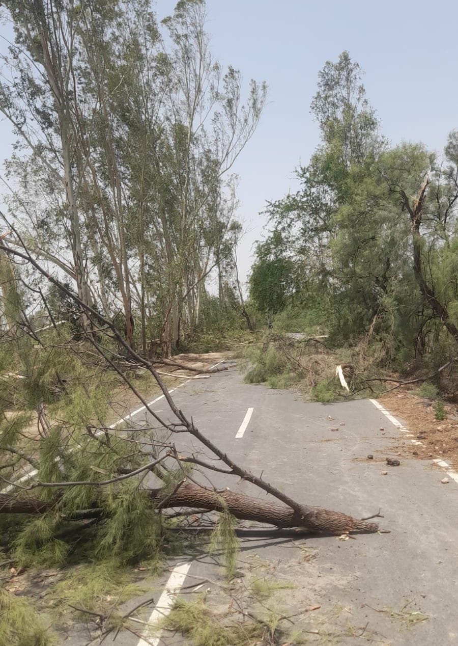 340 trees and over 300 electricity poles fell in the district due to the storm