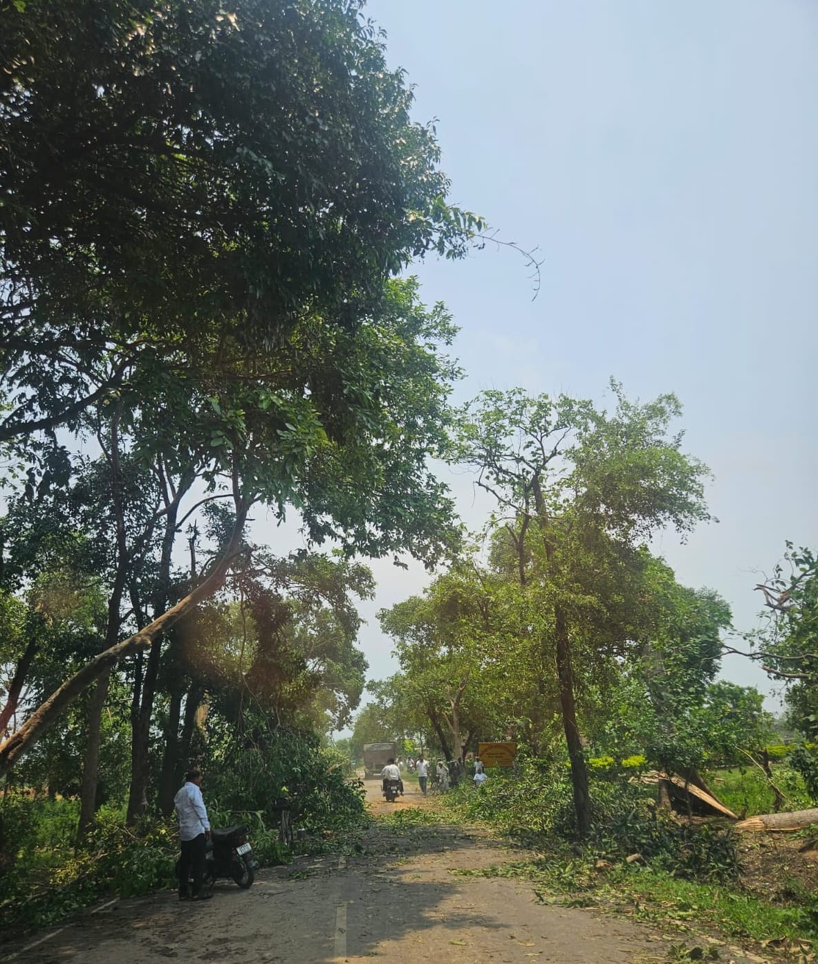 Ghordhawa-Chowk road blocked for hours due to fallen tree; power supply also disrupted.
