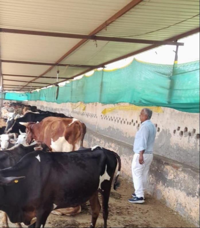 Deputy CVO expresses displeasure over filth scattered in the cowshed.