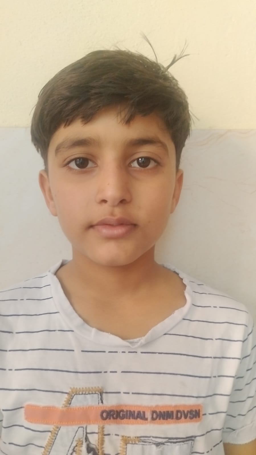 Mandi's Arihant shines in karate, wins gold medal.