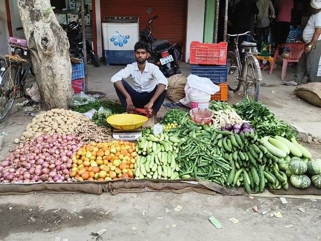 High vegetable prices have turned out to be a boon for farmers