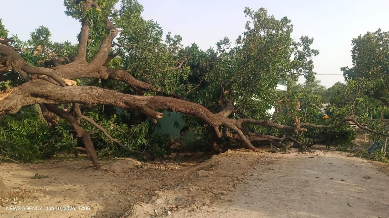 58 poles and 13 transformers toppled by storm and rain; 23 villages plunged into darkness