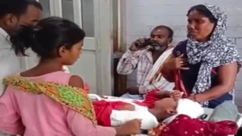 life lost in accident: Tree falls on two children gathering mangoes; one dead