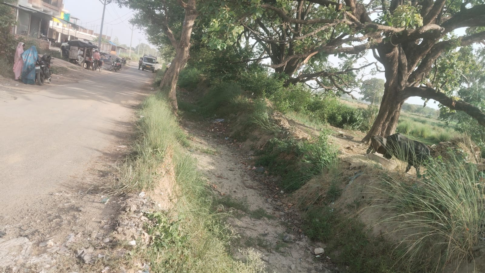 सूखी पड़ी कौशाम्बी ब्लॉक के कनैली क्षेत्र से गुजरी रजबा नहर। संवाद