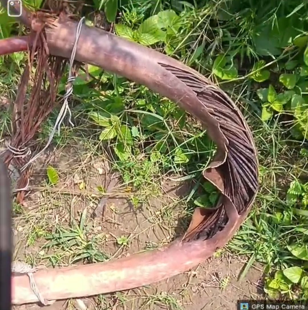 Underground cable burnt for the 22nd time in one and a half month