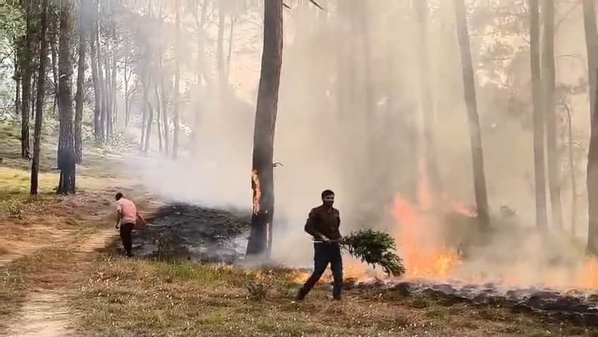 तरोपका में मलकीयत भूमि में घासनी में लगी आग को बुझाते वन विभाग के कर्मी। स्रोत संस्थान