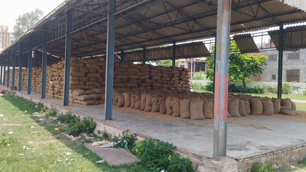 Challenge of procuring 23% of wheat in five days; lagging 99,000 quintals behind the target