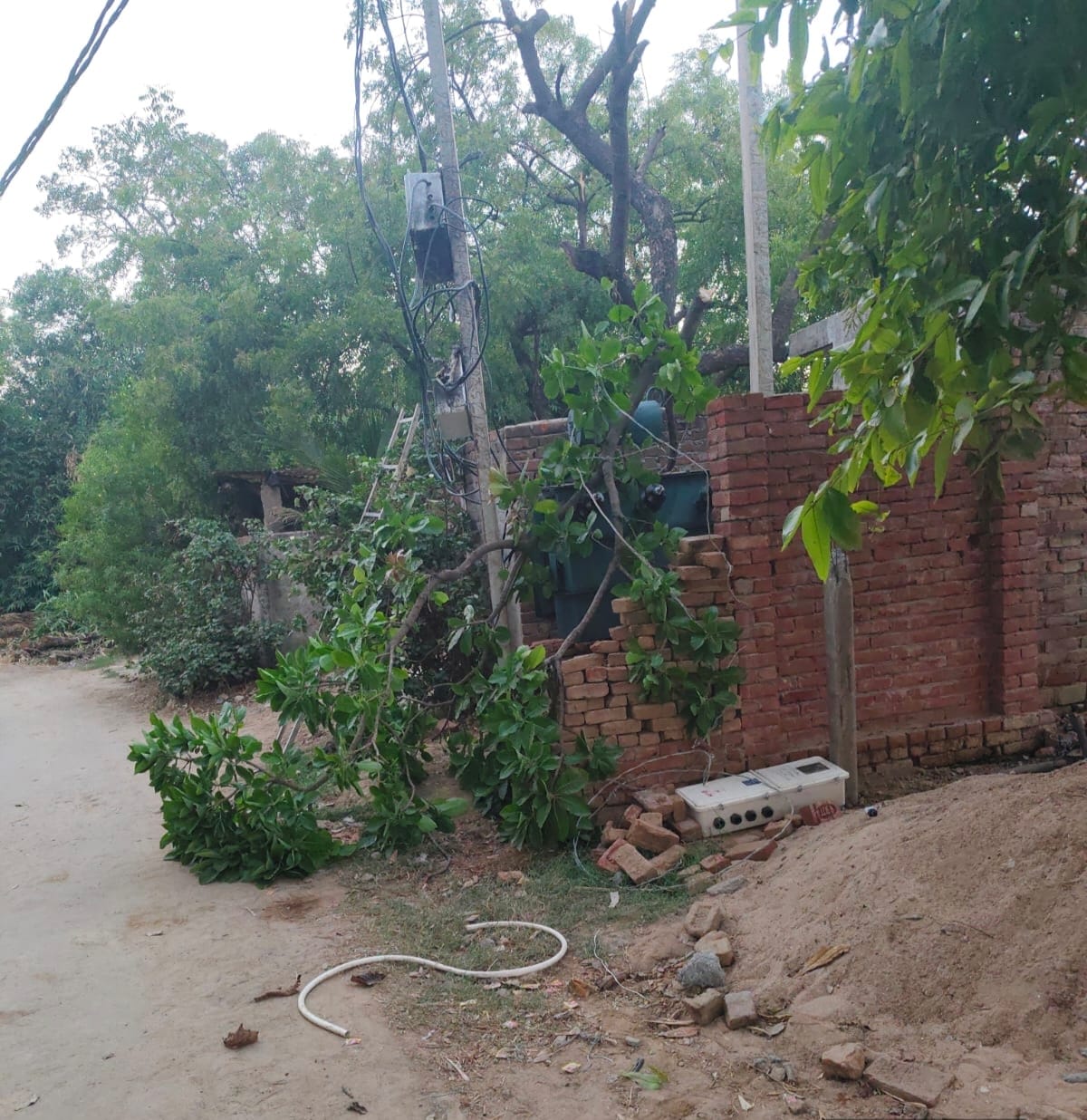 Tree falls on transformer; population of 2,000 left in the dark.