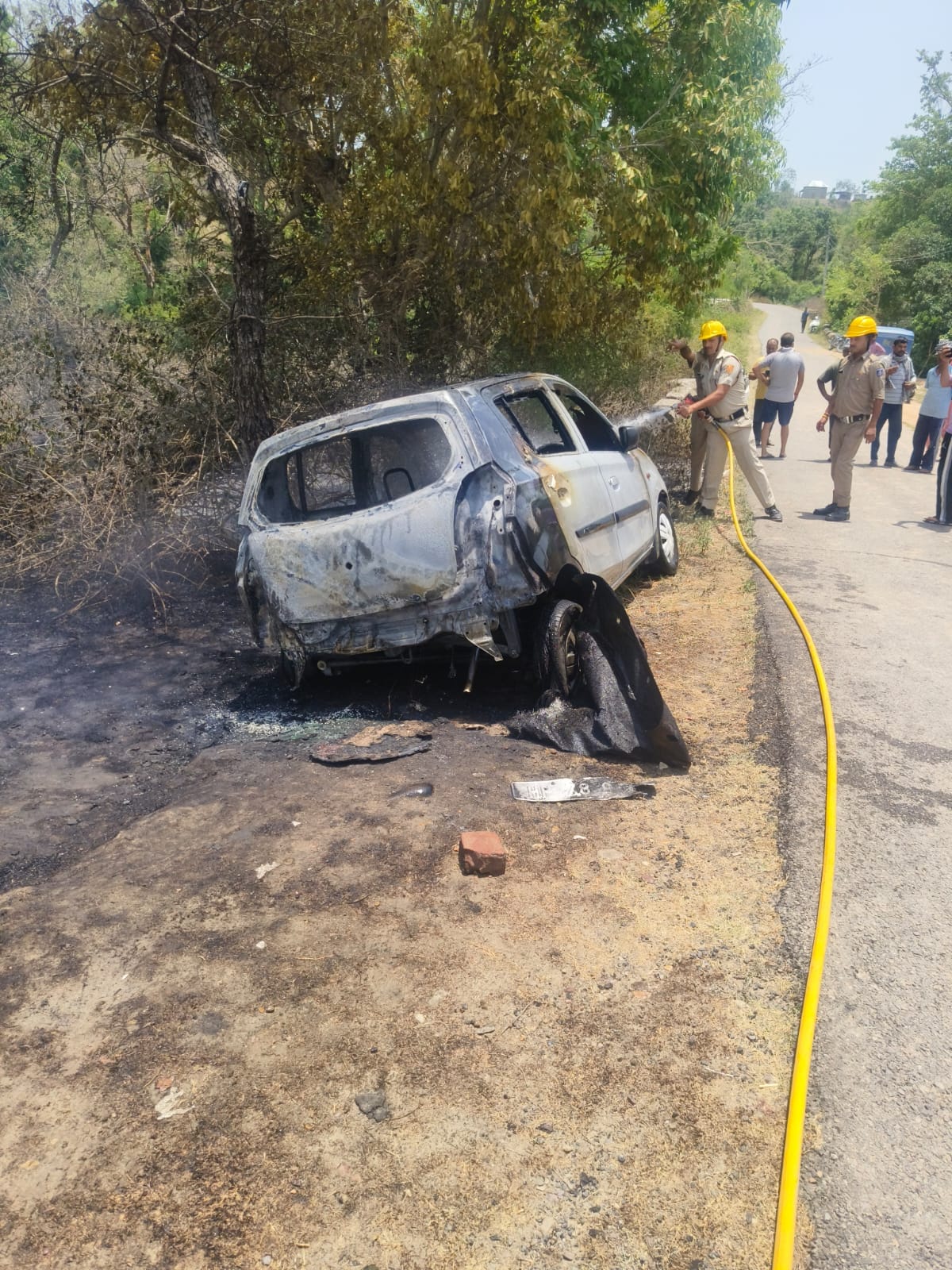 Car burned in forest fire