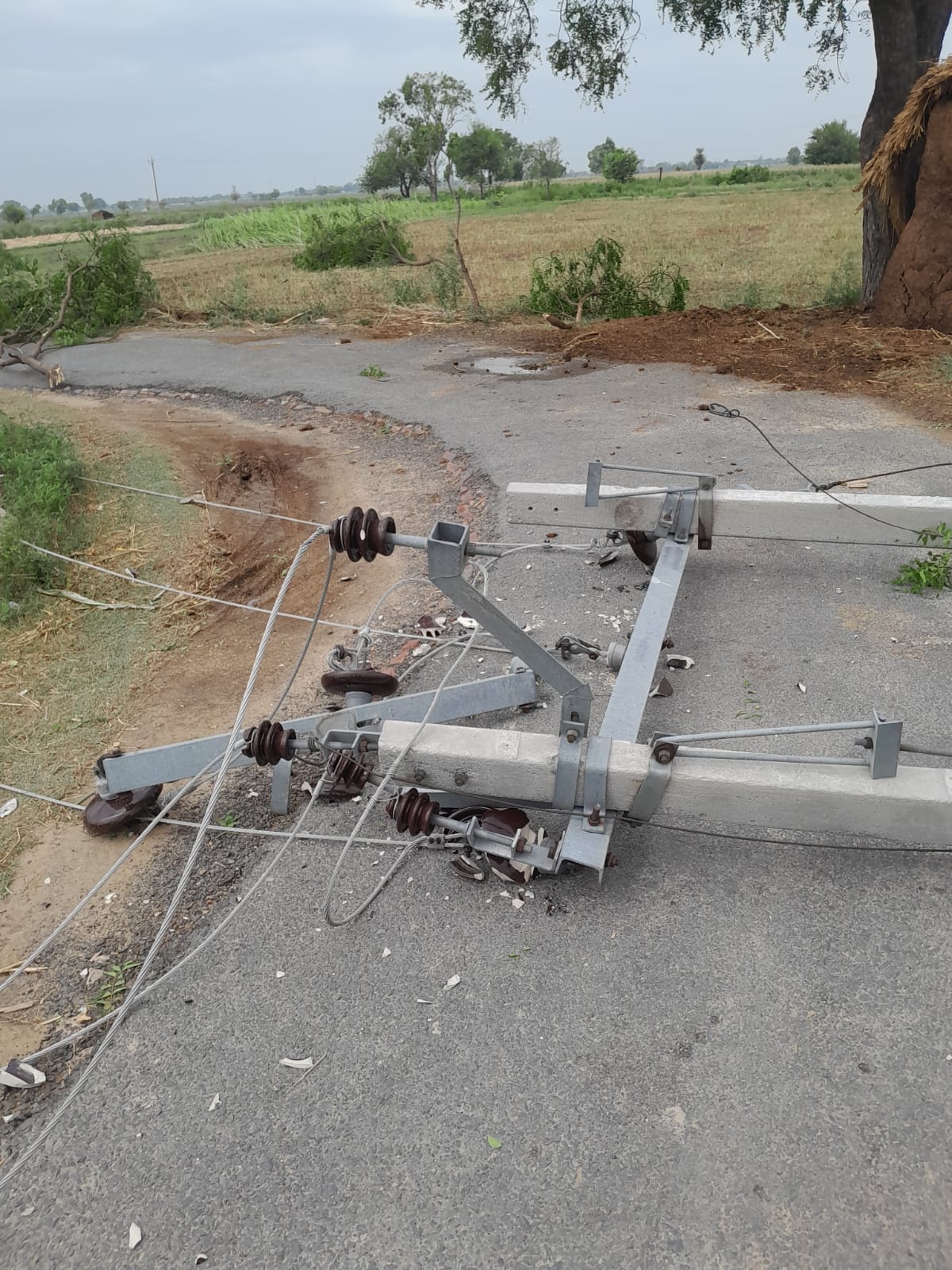 House and poultry farm collapse due to storm and rain in Atrauli area
