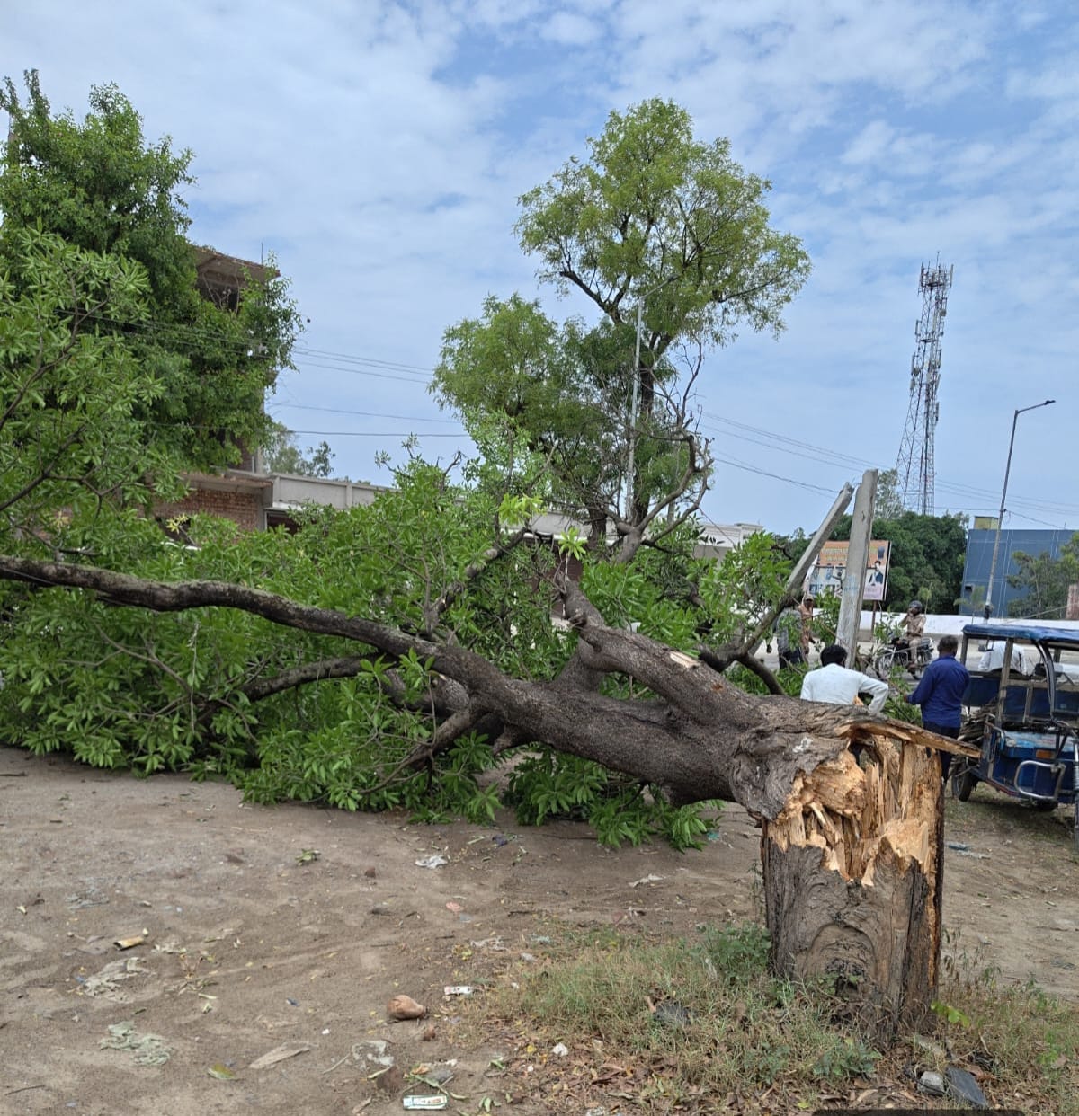 Power lines were damaged by the storm, leaving electricity out for hours.