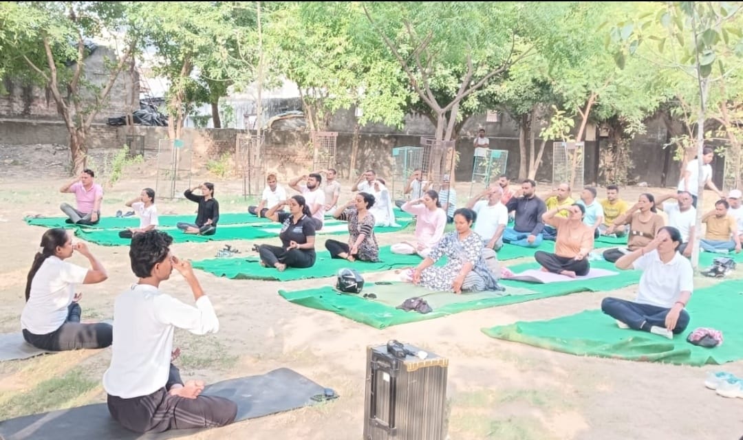 फोटो-63:: बहादुरगढ़ के डॉ. भीमराव अंबेडकर स्टेडियम में आयोजित योग प्रोटोकॉल शिविर में योगाभ्यास
