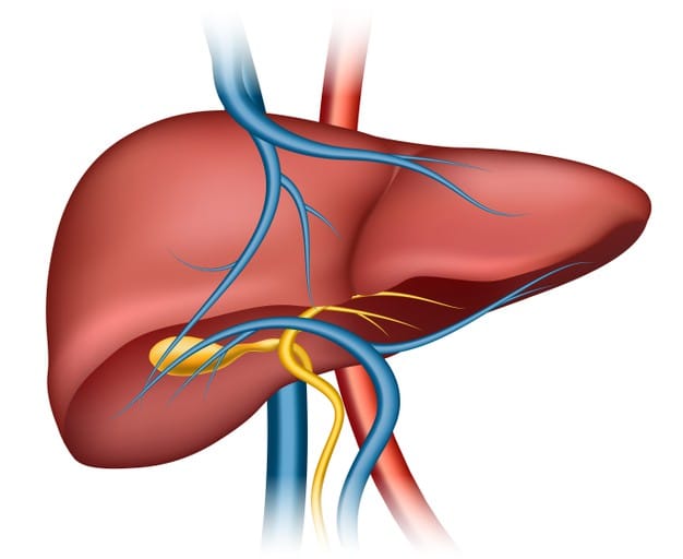 Every third Indian is affected by fatty liver; timely screening is essential.