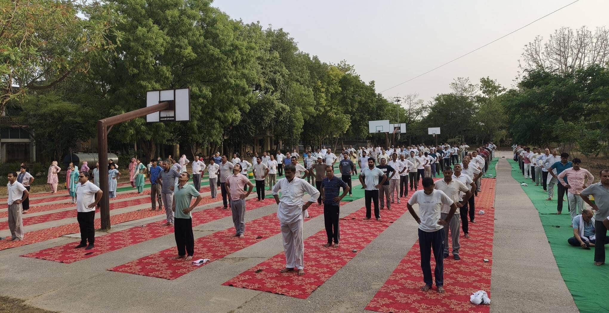 फोटो संख्या:84- पितामह कान्ह सिंह राजकीय महाविद्यालय, कनीना में आयोजित योग प्रशिक्षण एवं जागरूक