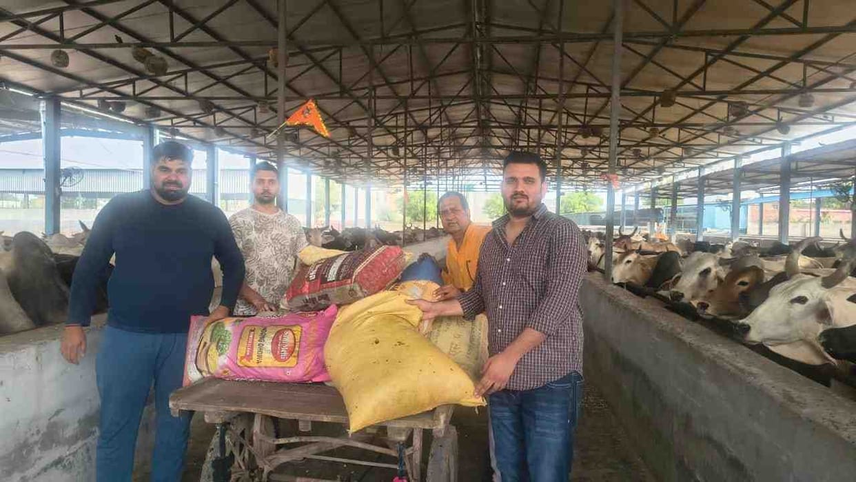 Cows were fed green fodder and porridge on the occasion of Param Ekadashi fast.