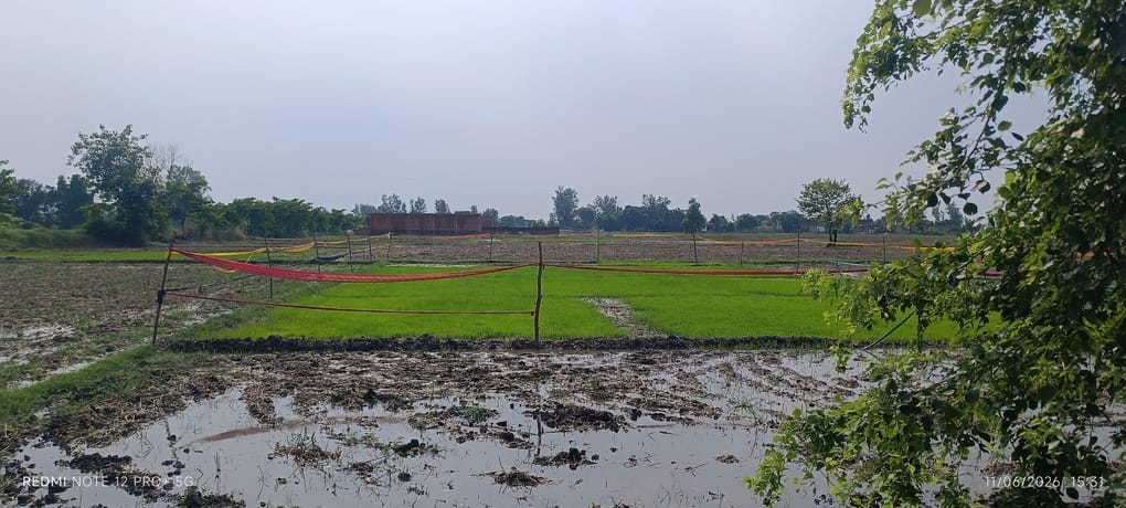 Drizzle brings relief from heat, mercury drops by two degrees