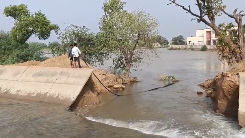 Breach in Sirsa Major Canal causes waterlogging across 30 acres