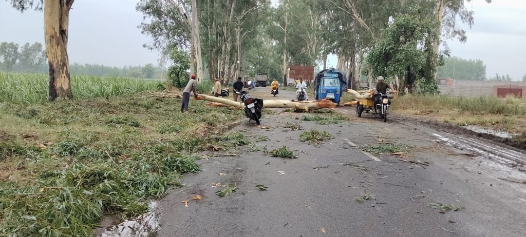 Transformer fell in the storm and rain, trees were uprooted... six poles were broken.